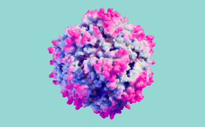 Viral Vector A 3D illustration of a viral vector.