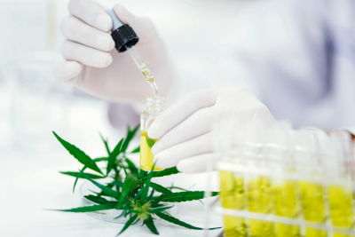 A close-up of a gloved hand using a dropper to add a yellow liquid into a small glass vial, surrounded by green cannabis leaves and several other vials filled with yellow liquid in the background.
