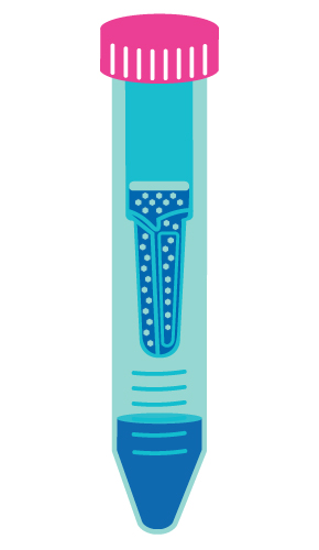Ultrafiltration for concentration of virus. Fluid passes through the membrane filter, while large viral particles are retained.