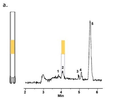 SPME liner ID Standard 2 mm internal diameter splitless GC inlet liner and corresponding chromatogram showing broader peaks for highly volatile compounds during SPME analysis.