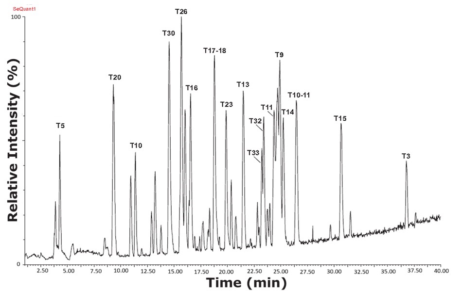 A base peak chromatogram of tryptic peptides generated from ovalbumin digestion, plotted with relative intensity on the vertical axis ranging from 0 to 100 percent and time on the horizontal axis spanning 2.5 to 40 minutes. Numerous sharp and well-resolved peaks are distributed throughout the chromatogram, each representing distinct peptide fragments. Prominent peaks are labeled with identifiers such as T5, T10, T20, T26, T30, T9, T3, and more, highlighting their respective elution times. The most intense peak appears around 16.5 minutes, identified as T26. The overall chromatogram is dense with many overlapping and distinct peaks, demonstrating high resolution and effective separation of the peptide mixture. This visualization reflects the capability of the reverse-phase liquid chromatography (RPLC) method to produce a rich peptide profile with clear peak definition and high analytical performance. 