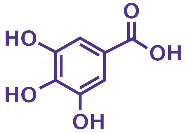 Gallic acid Chemical structure of gallic acid
