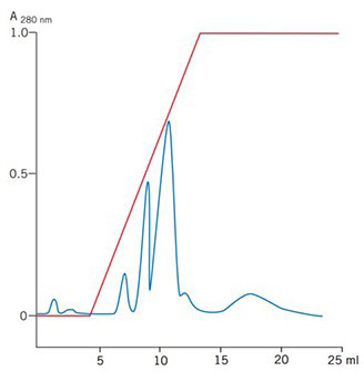 Graph of egg white protein purification on HiTrap® Chelating HP 1 mL with Cu<sup>2+</sup>. The x-axis shows volume (0-25 ml) and the y-axis shows absorbance at 280 nm, with a blue line indicating protein peaks and a red line showing a steady increase.