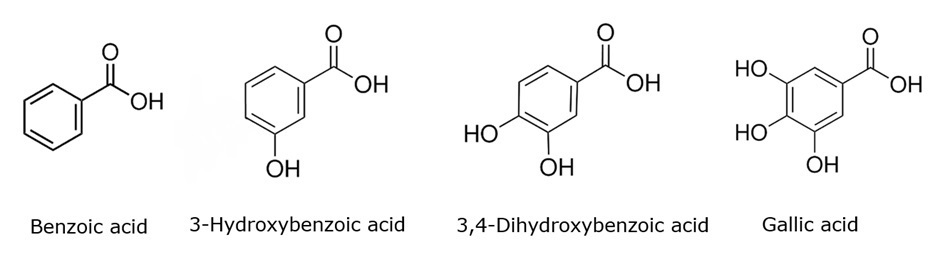 Aromatic carboxylic acid Chemical structures of four aromatic carboxylic acids evaluated in this study: benzoic acid, 3-hydroxybenzoic acid, 3,4-dihydroxybenzoic acid, and gallic acid. The compounds differ in the number of hydroxyl groups attached to the aromatic ring, ranging from none in benzoic acid to three in gallic acid.