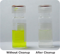 Turmeric Extracts