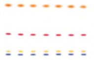 Chromatogram of TLC Silica Gel 60 G plates in the Ph. Eur. performance test