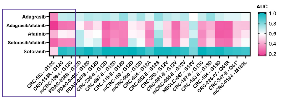 Combination treatments with KRASmut PDOs A table shows the heatmap of dose response to KRAS-G12C inhibitors as monotherapy or in combination.