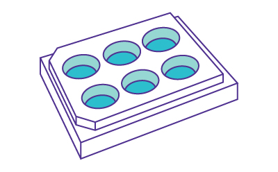 An illustration of expanded extracellular matrix structure in a well plate. An illustration of expanded extracellular matrix structure in a well plate.