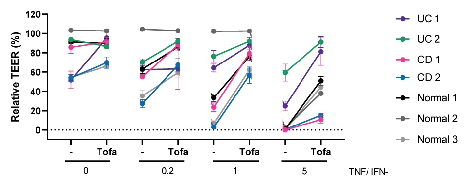Relative TEER Readouts Graph showing the relative TEER percentage for cells exposed to Tofacitinib and different concentrations of TNF/IFNу.