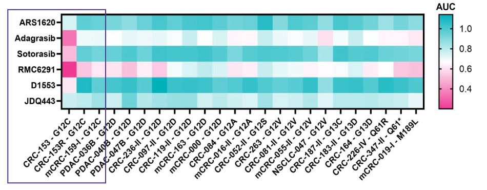 KRASmut PDO Sensitivity A heatmap of the dose response of KRAS mutant PDOs to KRAS-G12C inhibitors.