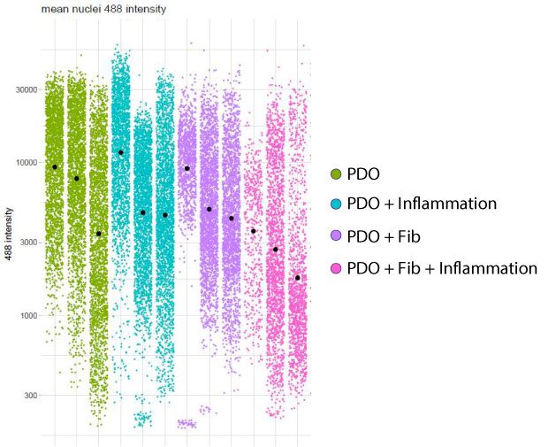 Organoid cell proliferation Graph quantifying the nuclear intensity of PDOs in the presence or absence of fibroblasts or inflammatory stimuli.