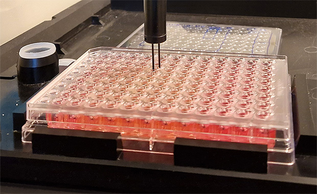 IntegriGut Screen 96 well plate in an automated machine is filled with media. A probe reaches down into a well.