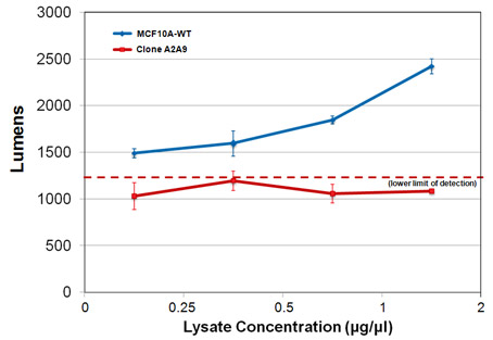 Treatment of MCF10A cells with a ZFN specific for the PTEN gene