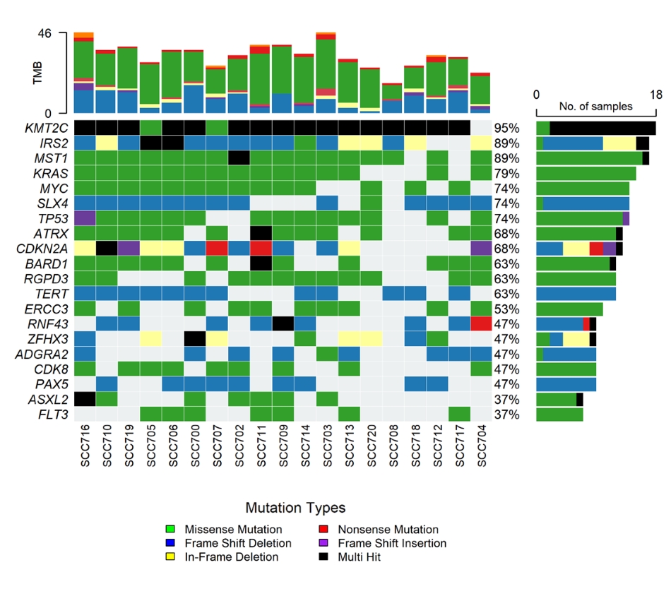 PDAC mutational profile oncoplot Chart with the mutation on the y axis and the organoid product number on the x axis. Different colors represent different mutation types.