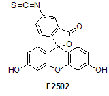 Labeling and staining reagents schema - F2502. Labeling and staining reagents schema - F2502.