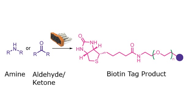 Reaction scheme showing an amine or hydroxyl reactant forming a biotinylated product with a linker unit.