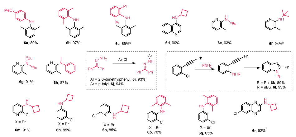Buchwald–Hartwig Reaction Results Table summarizing Buchwald–Hartwig coupling with (NHC-H)₂Pd₂Cl₆ showing substrates, nitrogen highlights, and yields from 65% to 97%.