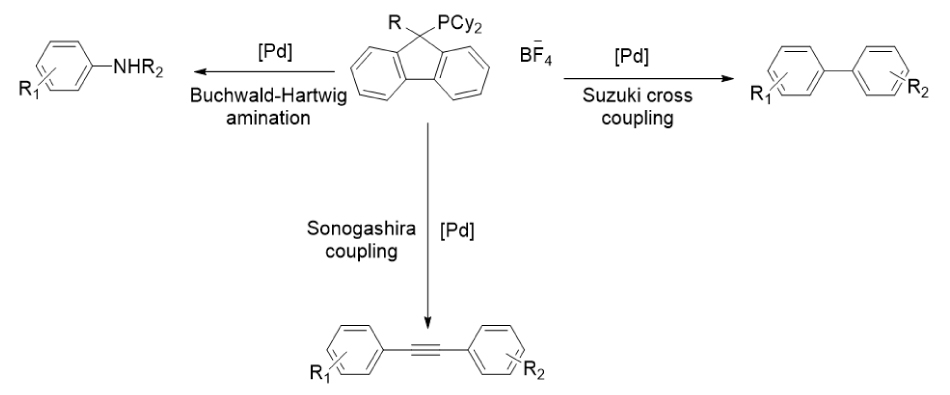 Figure 10 Schematic overview showing a cataCXium® phosphine ligand employed in palladium-catalyzed Buchwald–Hartwig amination, Suzuki cross-coupling, and Sonogashira coupling reactions.