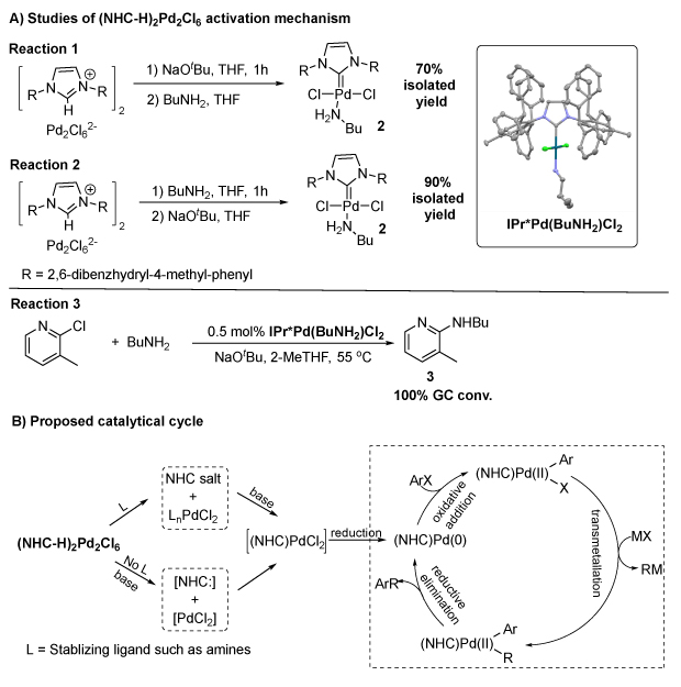 Control Activation Mechanism Studies Schematic of (NHC-H)₂Pd₂Cl₆ activation and catalytic cycle, showing key reactions, yields, and a 3D Pd-butylamine complex model.