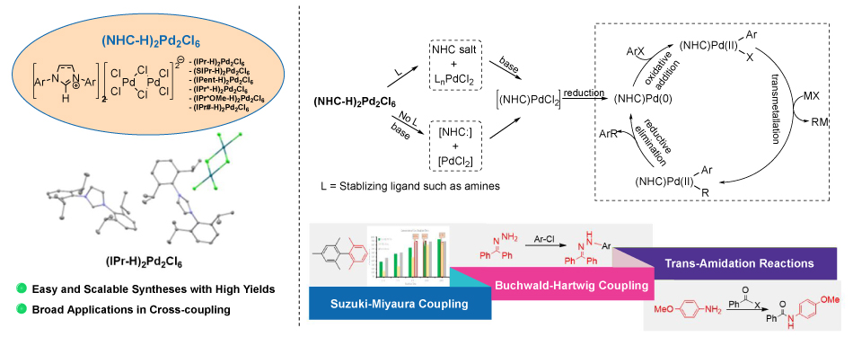 Cross Coupling Reactions Diagram shows (NHC-H)₂Pd₂Cl₆ structure, ball-and-stick model, activation pathway, catalytic cycle, and cross-coupling reactions.