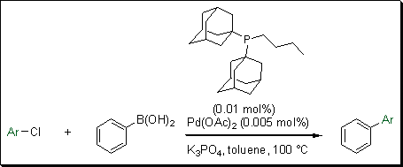 catacxium