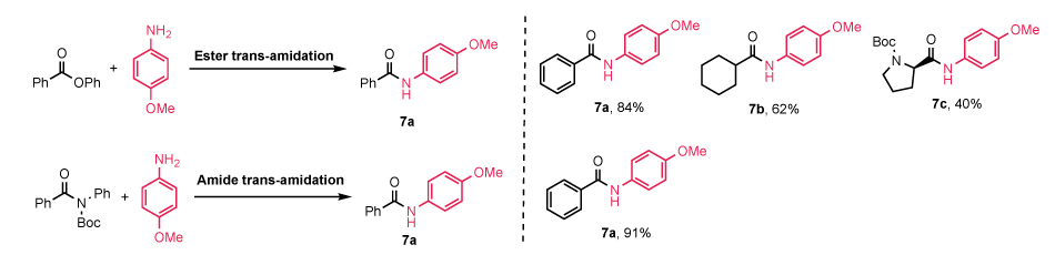 Trans-amidation of Esters and Amides Schematic of ester and amide trans-amidation using (NHC-H)₂Pd₂Cl₆, showing key products with yields from 40% to 91% and highlighted functional groups.