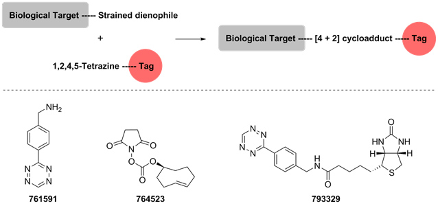 Bioconjugation strategies