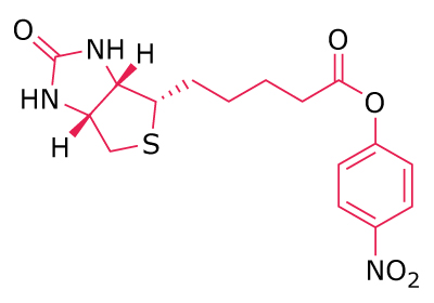 Biotin-ONp Chemical structure of a biotinylated linker functionalized with a nitrophenyl ester group.
