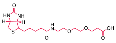 N-Biotinyl-NH-PEG11-COOH Chemical structure of a biotin‑based PEG linker with a terminal carboxyl group for bioconjugation.