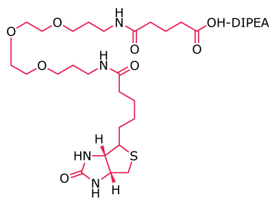 N-Biotinyl-NH-PEG2-COOH Chemical structure of a biotin‑PEG linker with terminal carboxyl functionality shown as a DIPEA salt.