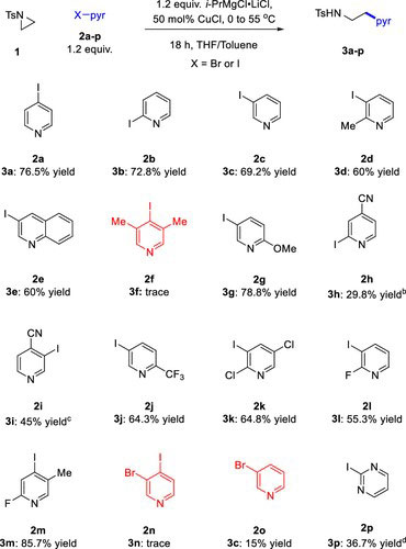Reaction Scope of Aziridine Opening with Halopyridines Reaction scope diagram for aziridine opening with halopyridines, showing a grid of substrate-to-product schemes (labels 2a–2p, 3a–3n, etc.) with reaction conditions and yield percentages for each transformation.