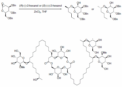 hexanol hexanol