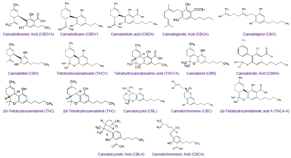Chemical structures of seventeen cannabinoids Chemical structures of seventeen cannabinoids analyzed by HPLC-PDA (high-performance liquid chromatography - photodiode array)