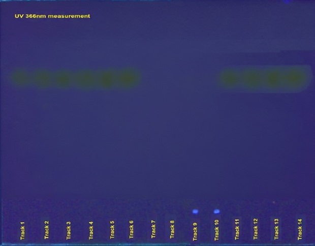 HPTLC plate for urea under UV light at 366 nm HPTLC plate viewed under UV light at 366 nm showing fluorescent spots in a blue background obtained for the identification of urea in milk