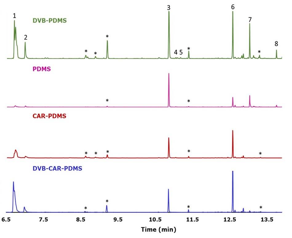 GC/MS chromatograms of fresh Perilla leaves obtained different SPME coatings. Four overlaid GC/MS chromatograms, each representing different SPME (Solid Phase Microextraction) coatings used for the analysis of fresh Perilla leaves. The chromatograms are color-coded and labeled: DVB/PDMS (green), PDMS (pink), CAR/PDMS (red), and DVB/CAR/PDMS (blue). The x-axis represents time in minutes, ranging from 6.5 to 13.5 minutes, while the y-axis reflects signal intensity, adjusted equally across all chromatograms. Distinct peaks corresponding to specific compounds are marked and numbered: (1) 1-Octen-2-ol, (2) 3-octanol, (3) perilla ketone, (4) egoma ketone, (5) isoegoma ketone, (6) (-)-trans-caryophyllene, (7) α-humulene, and (8) (Z,E)-α-Farnesene. Additional peaks marked with an asterisk (*) represent fiber peaks from the SPME coating.