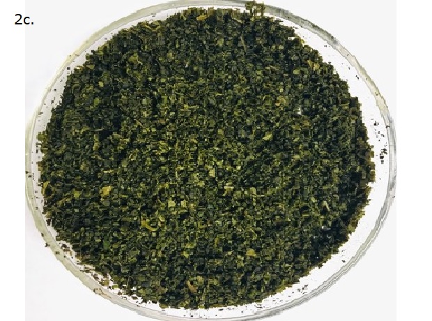 Homogenized Perilla Leaves A transparent round container filled with finely chopped or ground green leaves. The contents have a uniform texture and dark green color, indicating homogenized leaves. The fragments are small and evenly distributed, suggesting thorough processing.