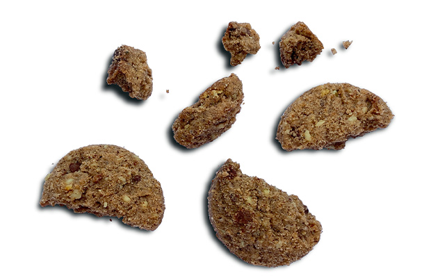 Heavy metals in hemp chocolate cookies Chocolate chip cookies