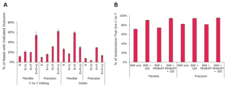 Base Editing Boosters Lead To Improved C-to-T Editing Graphs showing C-to-T editing using PURedit® Cas9 Cytosine Base Editor proteins with the editing boosters PEXBUFF and UGI. They show cells that just had RNP (R), co-transfected with UGI (R+U), co-transfected with PEXBUFF (R+P), or all three components delivered together (R+P+U) for both flexible and precision kits. Bar graph on left shows absolute rates of C-to-T editing and indel formation, with bars with added booster higher than just RNP alone for editing. Bar graph on right shows % of C substitutions with all bars over 60% and in general bars with boosters above that.