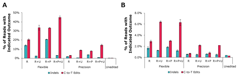 CBE Effectiveness In K562 and Human T Cells Graphs showing absolute rates of indel formation and C-to-T editing for RNF2 target using PURedit® Cas9 Cytosine Base Editor proteins. They show cells that just had RNP (R), co-transfected with UGI (R+U), co-transfected with PEXBUFF (R+P), or all three components delivered together (R+P+U) for both flexible and precision kits. Bar graph on left shows absolute editing rates of C-to-T in K562 cells with most above 10% and bar graph on right shows absolute editing rates of C-to-T in primary human T cells with most above 2%.