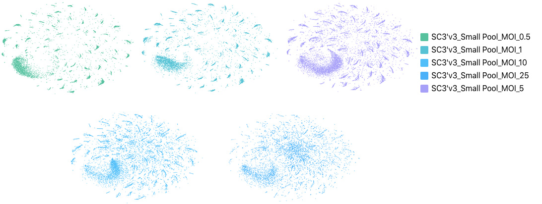 Monitoring multiple viral transductions at single cell resolution