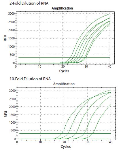 ReadyScript® RT reagent was used to reverse transcribe total RNA from a 2-fold and a 10-fold serial dilution.