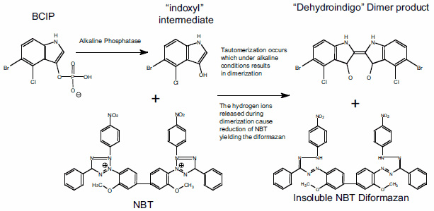 Detection methods structures Detection methods structures