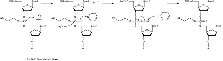 A diagram illustrating a chemical reaction sequence with three steps, showing the interaction of two reactants with solid support and linker. The process involves the addition of a reagent, resulting in the formation of new compounds, with key components labeled as "Base 1," "Base 2," and "R."