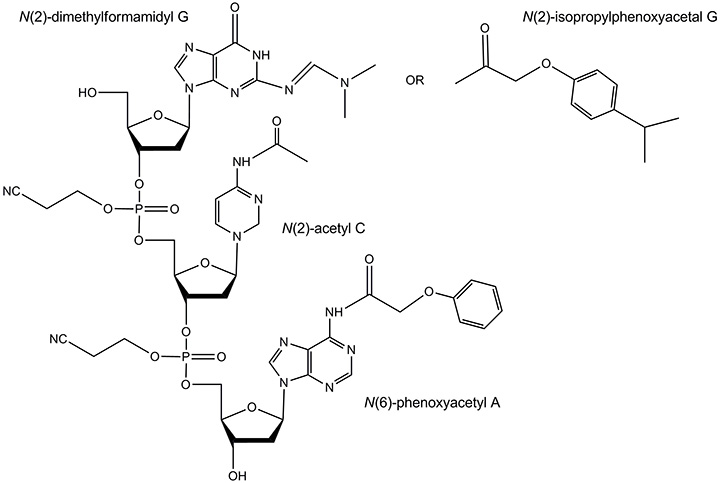 A diagram displaying three reactants labeled N(2)-dimethylformamidyl G, N(2)-acetyl C, and N(6)-phenoxyacetyl A, along with an alternative structure N(2)-isopropylphenoxyacetal G. The diagram features solid support and linker, illustrating the chemical structures and functional groups associated with each compound.