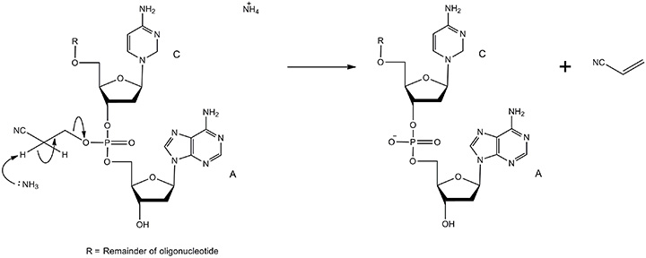 A diagram illustrating a chemical reaction involving two reactants labeled C and A, with a solid support and linker. The process shows the transformation of the reactants, resulting in the release of a byproduct, with "R" indicating the remainder of an oligonucleotide. Key components include amino groups and a vinyl group.