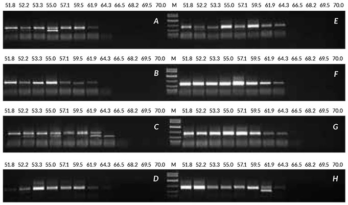 Optimization crude sample linseed Results obtained with optimization of crude sample from linseed