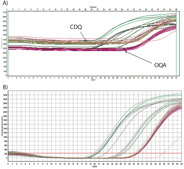 dilutions-of-an-artificial-oligo Dilutions of an artificial oligo