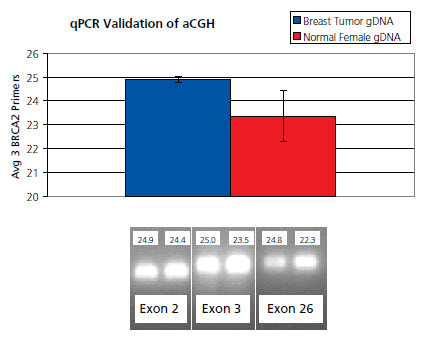 Array CGH Analysis of Challenging Samples