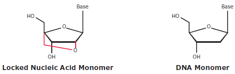 locked-nucleic-acid-dna-monomer Comparison of LNA and DNA nucleotide structures