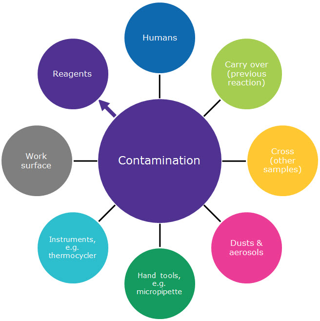 NTCO Graph Example sources of contamination that negatively affects both SYBR Green and probe-based qPCR and dPCR.